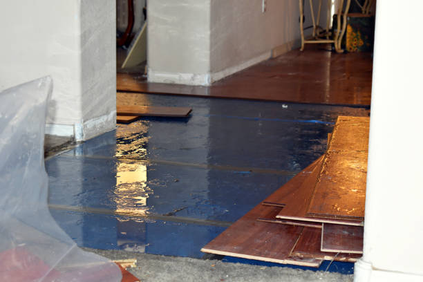 Professional Burst Pipe Cleanup technician working in Ralls, TX